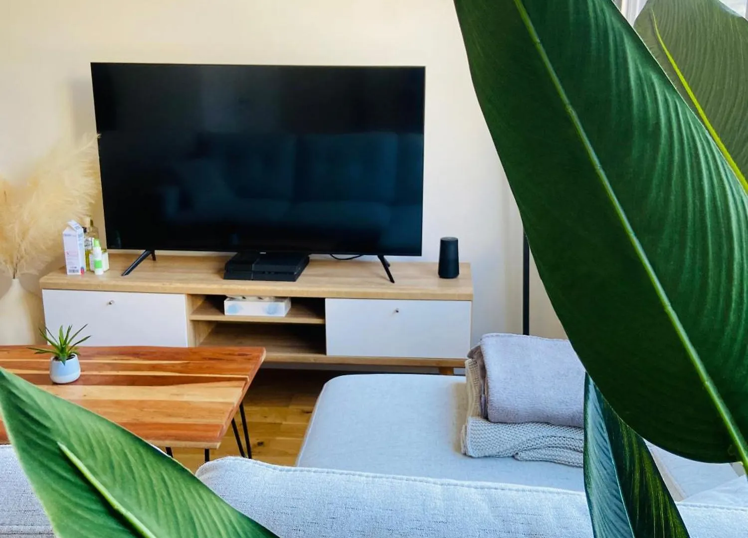 Le Repos Montchatois - Appartement Moderne 0*, Lyon France